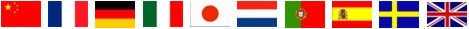 International multi language websites